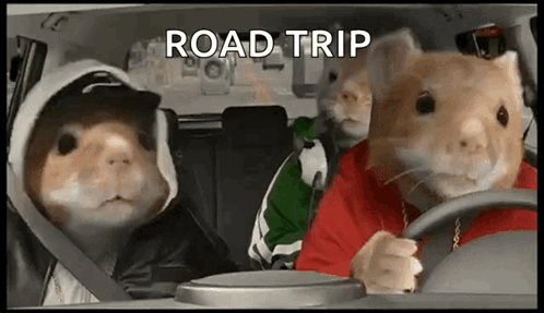 A Group Of Hamsters Are Sitting In A Car With The Words Road Trip Written On The Screen . GIF