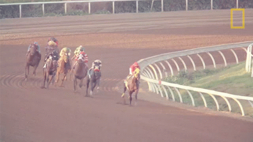 A Group Of Horses Are Racing On A Dirt Track With A National Geographic Logo In The Corner GIF