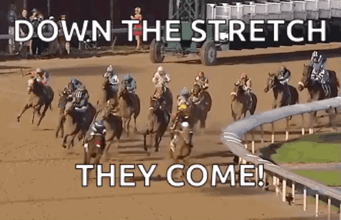 A Group Of Horses Are Racing On A Dirt Track With The Words Down The Stretch They Come GIF