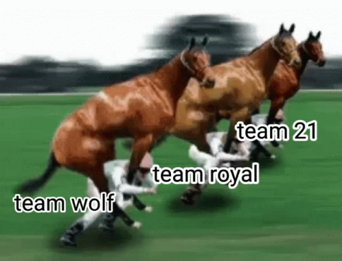 A Group Of Horses Are Racing On A Grassy Field And One Of Them Is Being Attacked By A Dog . GIF