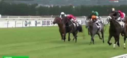 A Group Of Horses Are Racing On A Track With A Banner Behind Them That Says Allianz GIF