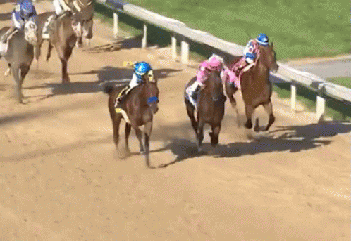 A Group Of Horses Racing On A Dirt Track With Jockeys Wearing Blue And Pink Hats GIF