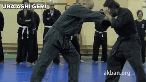 A Group Of Men Are Practicing Martial Arts With Ura Ashi Geri Written On The Bottom Right GIF