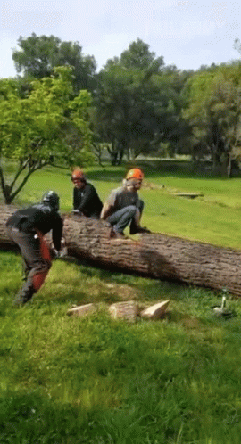 A Group Of Men Are Working On A Large Log In A Field GIF
