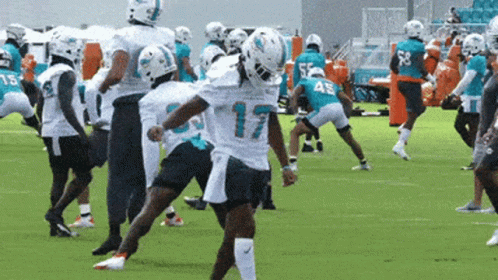 a group of miami dolphins football players are practicing on the field