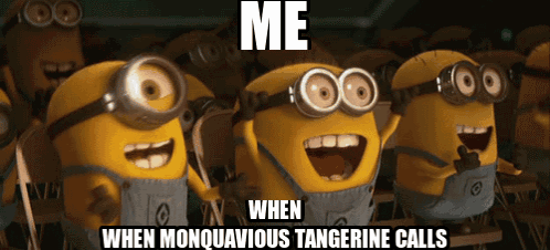 A Group Of Minions Are Laughing With The Caption Me When Monquavious Tangerine Calls GIF
