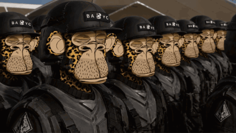 A Group Of Monkeys Wearing Babyc Helmets Stand In A Row GIF
