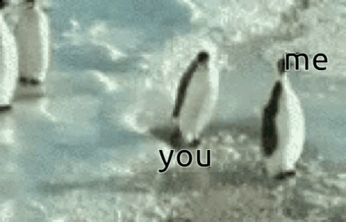 A Group Of Penguins Are Walking In The Snow With The Words " Me You " Written In The Foreground GIF