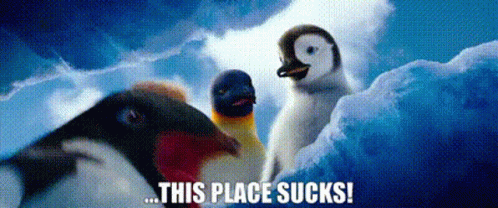 A Group Of Penguins Standing Next To Each Other On Top Of A Snow Covered Iceberg . GIF