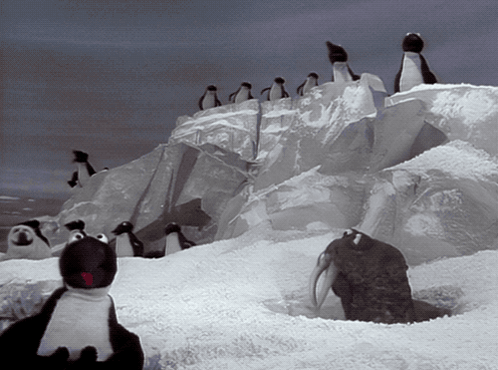 A Group Of Penguins Standing On Top Of A Snow Covered Cliff GIF
