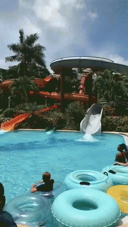 A Group Of People Are Playing In A Water Park With A Water Slide In The Background GIF