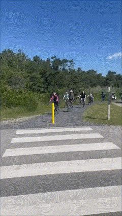 a group of people are riding bikes across a zebra crossing