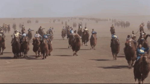 A Group Of People Are Riding Camels In The Desert And One Of Them Is Wearing A Shirt That Says Nb GIF
