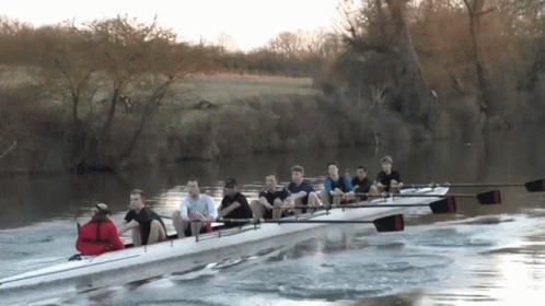 A Group Of People Are Rowing A Boat On A River With Trees In The Background GIF