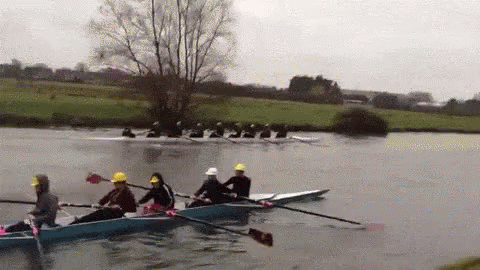a group of people are rowing boats in a lake .