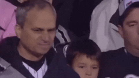 A Group Of People Are Sitting In A Stadium Watching A Game And One Of Them Is Holding A Child . GIF