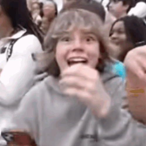 A Group Of People Are Sitting In A Stadium Watching A Game And One Of Them Is Smiling . GIF