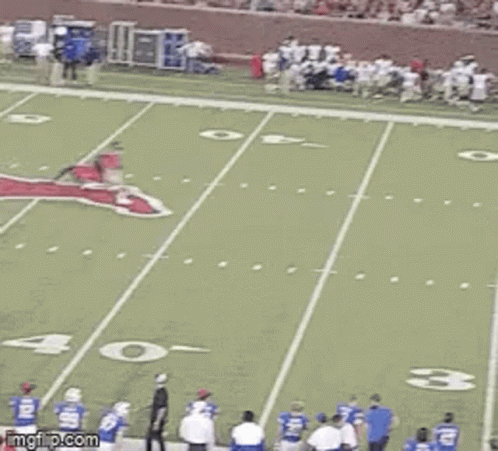 a group of people are standing on a football field watching a game being played .