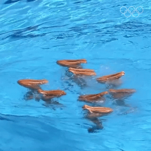 A Group Of People Are Swimming In A Pool With The Olympic Rings Visible In The Background GIF