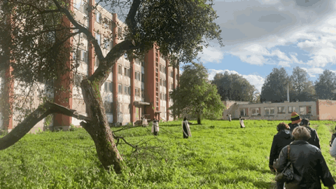 A Group Of People Are Walking Through A Grassy Field With A Building In The Background GIF