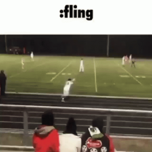 A Group Of People Are Watching A Football Game From The Stands . GIF