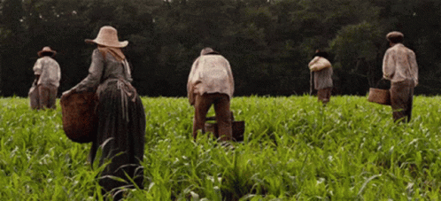 A Group Of People Are Working In A Field Of Grass GIF