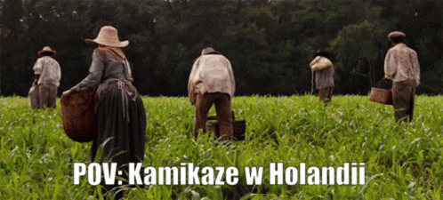 A Group Of People Are Working In A Field With The Words Pov Kamikaze W Holandii Below Them GIF