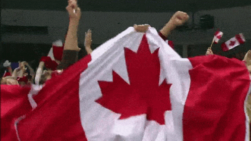 a group of people holding a canadian flag in their hands