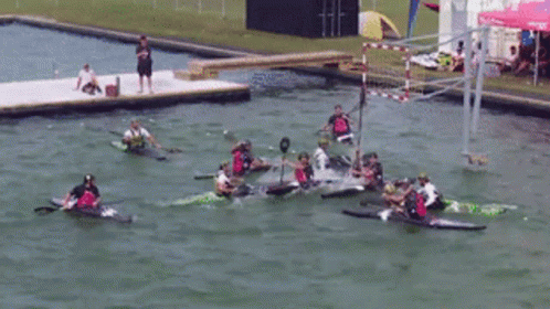A Group Of People In Kayaks Are Racing In A Lake GIF