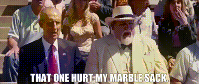 A Group Of People Sitting In A Stadium With The Words That One Hurt My Marble Sack Above Them GIF