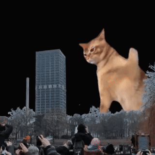A Group Of People Taking Pictures Of A Giant Cat GIF