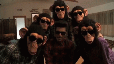 A Group Of People Wearing Monkey Masks And Sunglasses Pose For A Photo GIF