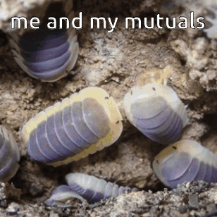A Group Of Purple And Yellow Worms With The Words Me And My Mutuals Written Above Them GIF
