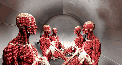 A Group Of Red Muscles Are Sitting In A Room GIF