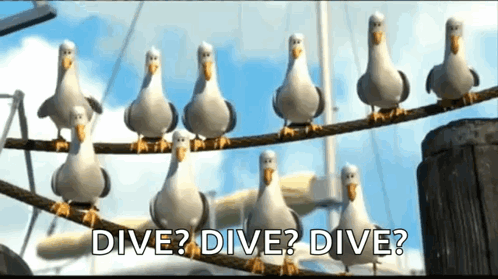a group of seagulls are sitting on a rope and they are asking if they can dive .