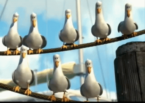 A Group Of Seagulls Are Sitting On A Rope GIF