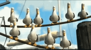 A Group Of Seagulls Are Sitting On A Wire . GIF