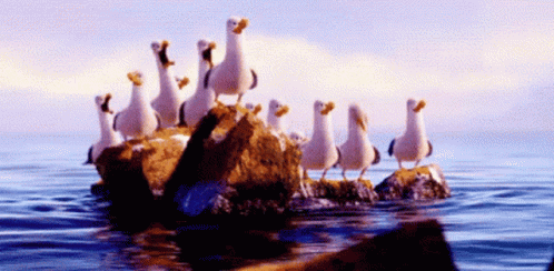 A Group Of Seagulls Are Standing On A Rock In The Middle Of The Ocean GIF