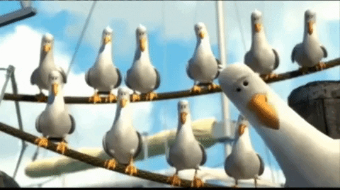 A Group Of Seagulls Are Standing On A Rope GIF