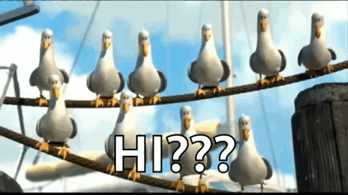 A Group Of Seagulls Are Standing On A Rope With The Words Hi Written On It GIF