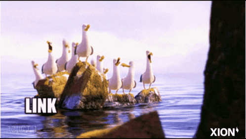 A Group Of Seagulls Are Standing On Rocks In The Water And The Word Link Is Above Them GIF