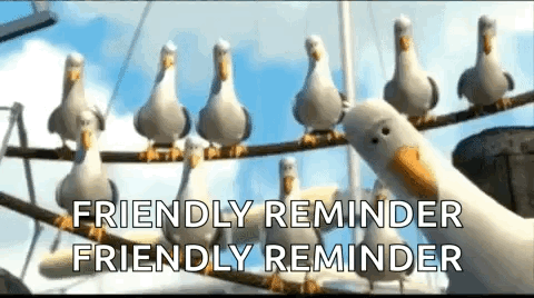 A Group Of Seagulls Sitting On A Wire With The Words `` Friendly Reminder Friendly Reminder '' Above Them . GIF