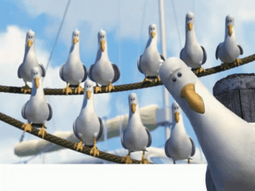 A Group Of Seagulls Standing On A Rope With One Looking At The Camera GIF