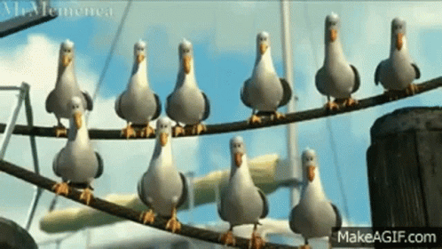 A Group Of Seagulls Standing On A Wire . GIF