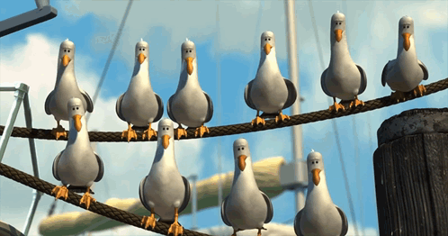 A Group Of Seagulls Standing On A Wire GIF