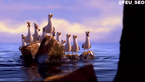 A Group Of Seagulls Standing On Rocks In The Ocean GIF
