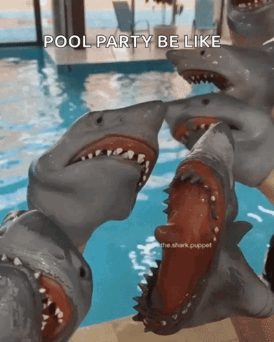A Group Of Shark Puppet Heads Are Standing Next To Each Other In A Pool With The Caption Pool Party Be Like GIF