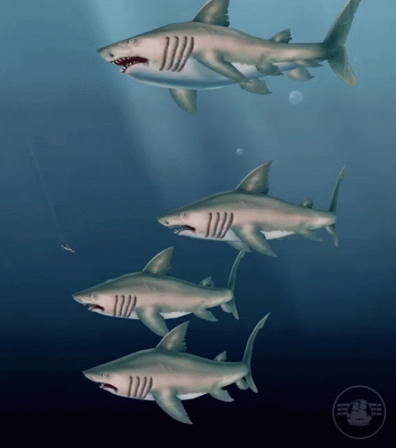 A Group Of Sharks Are Swimming In The Ocean With A Logo That Says Sharks GIF
