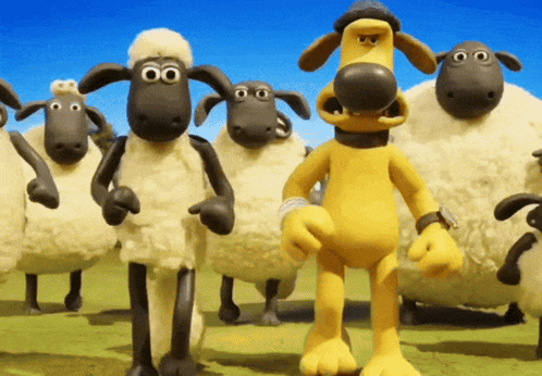 A Group Of Sheep Are Standing In A Field And One Of Them Has A Watch On His Wrist GIF