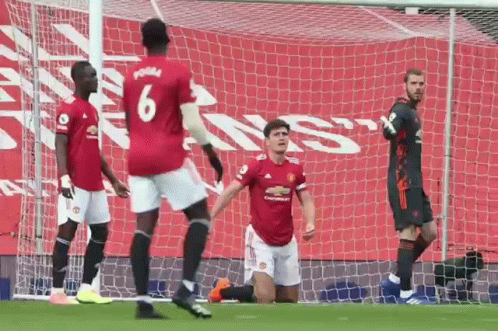 A Group Of Soccer Players Are Celebrating A Goal On A Soccer Field . GIF